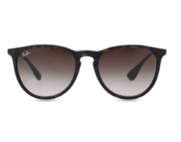 Ray Ban Erika Designer Glasses